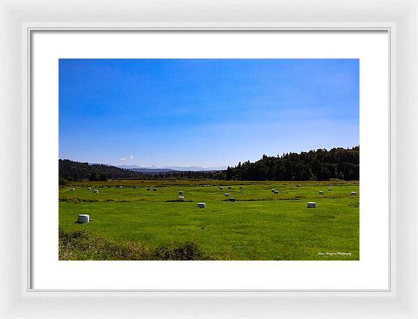 Farming - Framed Print