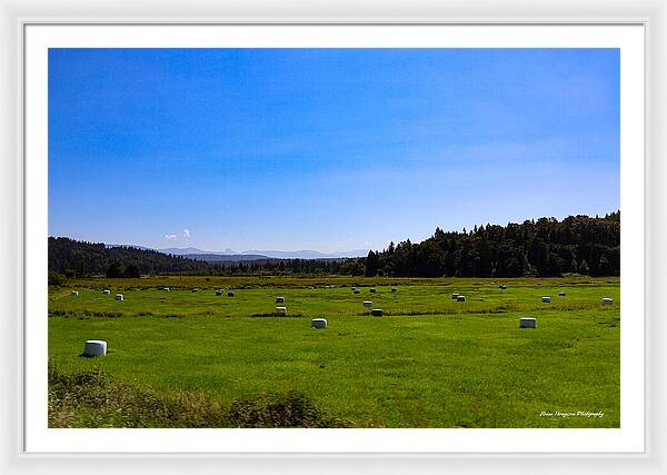 Farming - Framed Print