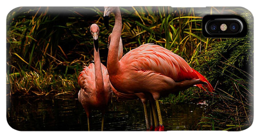 Flamingos by a Pond - Phone Case