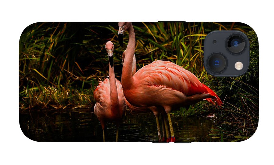 Flamingos by a Pond - Phone Case