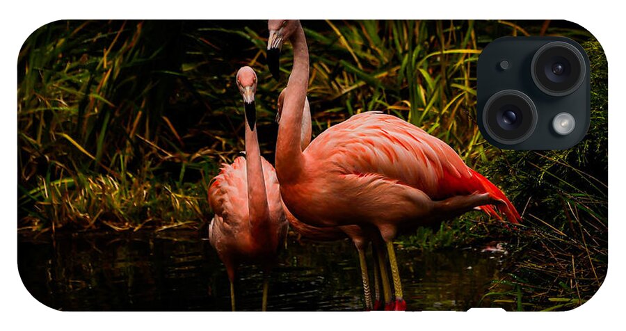 Flamingos by a Pond - Phone Case