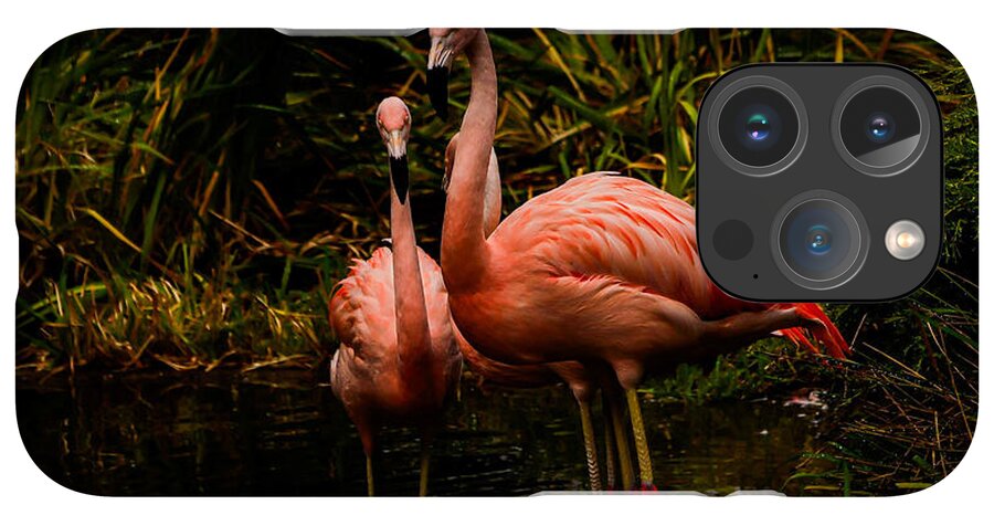 Flamingos by a Pond - Phone Case