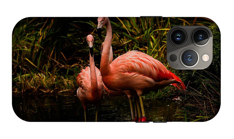 Flamingos by a Pond - Phone Case