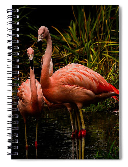 Flamingos by a Pond - Spiral Notebook