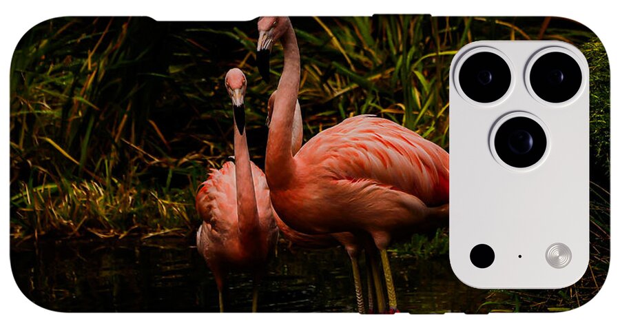 Flamingos by a Pond - Phone Case