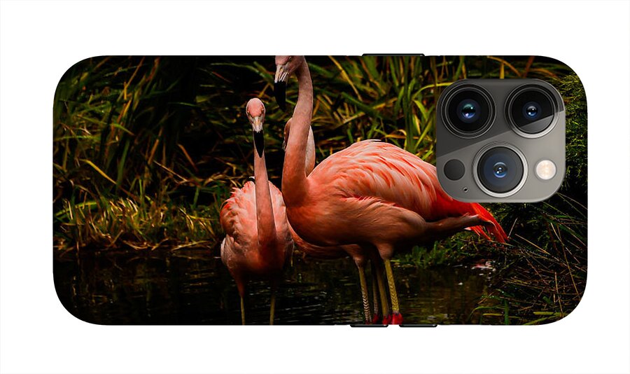 Flamingos by a Pond - Phone Case