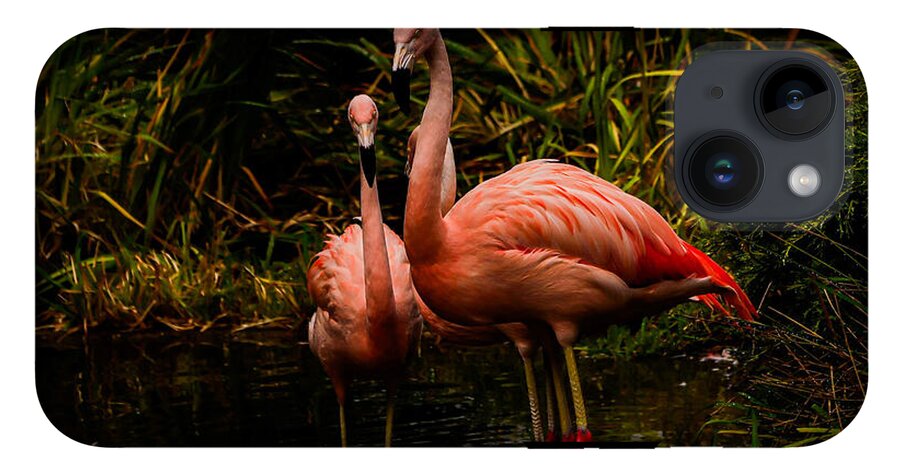 Flamingos by a Pond - Phone Case