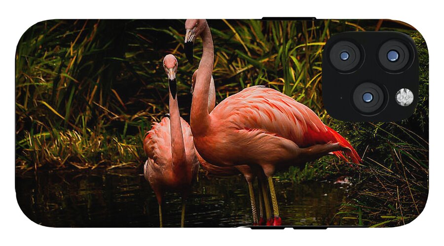 Flamingos by a Pond - Phone Case