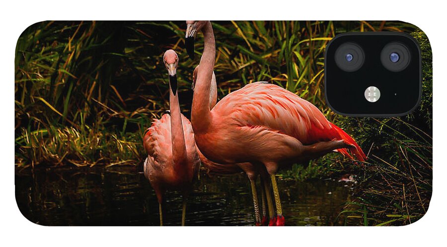 Flamingos by a Pond - Phone Case