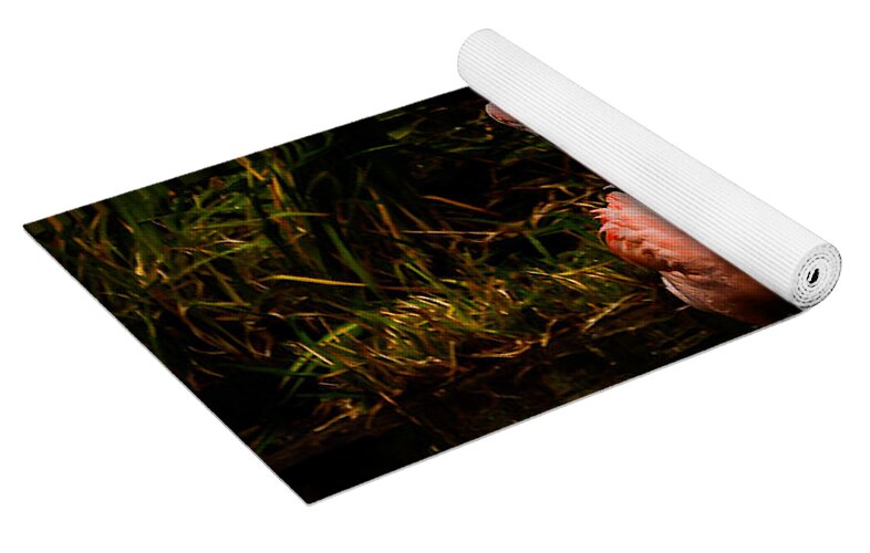 Flamingos by a Pond - Yoga Mat