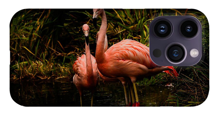 Flamingos by a Pond - Phone Case