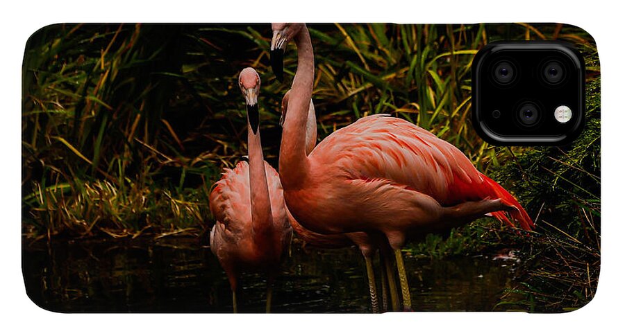 Flamingos by a Pond - Phone Case