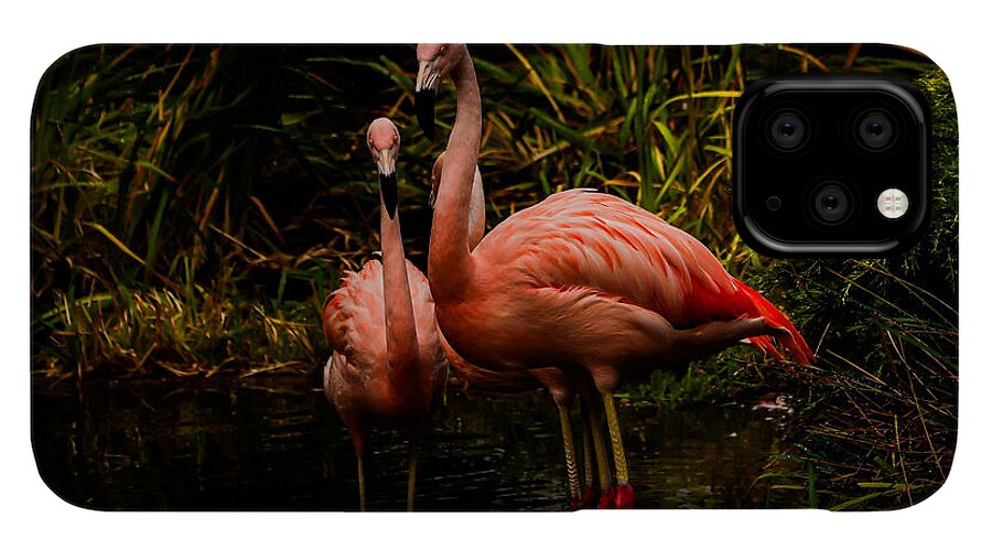 Flamingos by a Pond - Phone Case