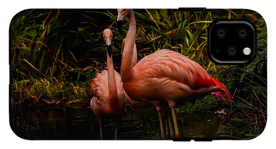 Flamingos by a Pond - Phone Case