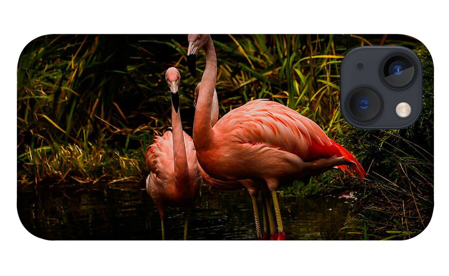 Flamingos by a Pond - Phone Case