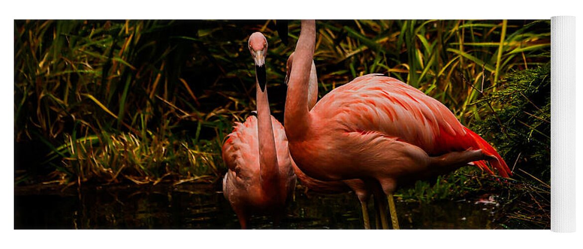 Flamingos by a Pond - Yoga Mat