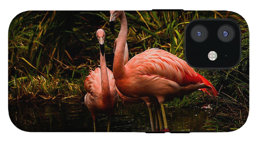 Flamingos by a Pond - Phone Case