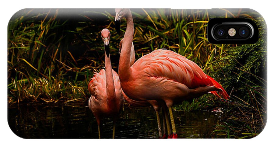 Flamingos by a Pond - Phone Case