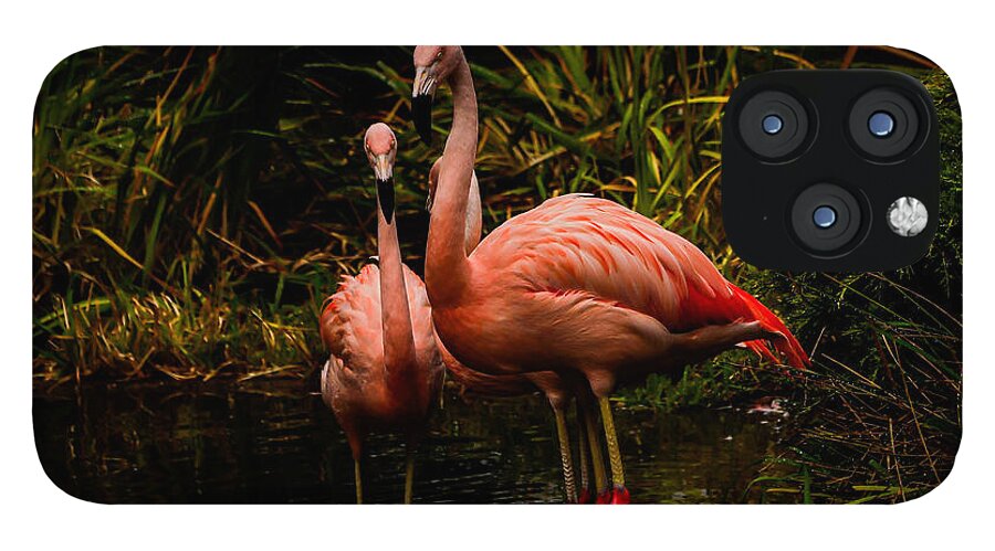 Flamingos by a Pond - Phone Case