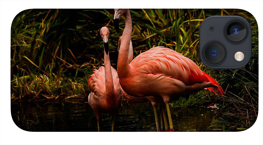 Flamingos by a Pond - Phone Case