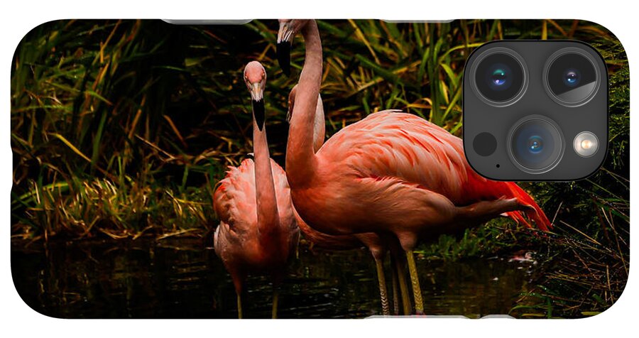 Flamingos by a Pond - Phone Case