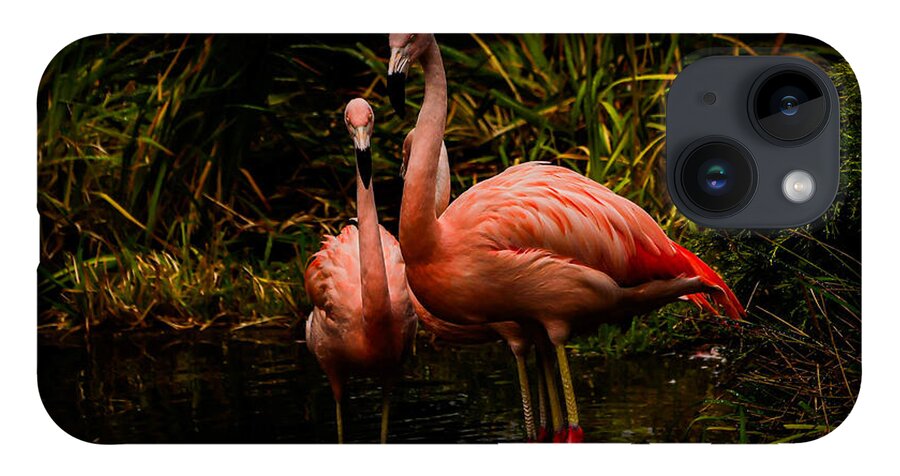 Flamingos by a Pond - Phone Case