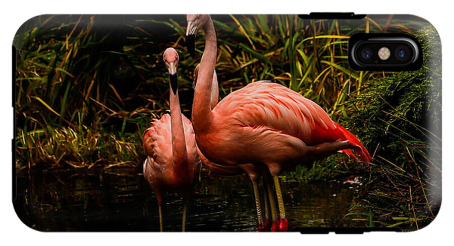 Flamingos by a Pond - Phone Case
