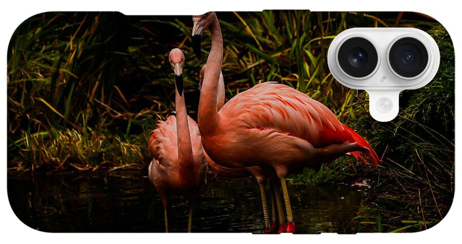 Flamingos by a Pond - Phone Case