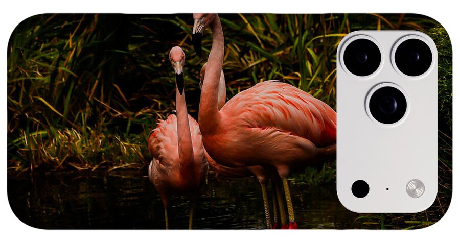 Flamingos by a Pond - Phone Case