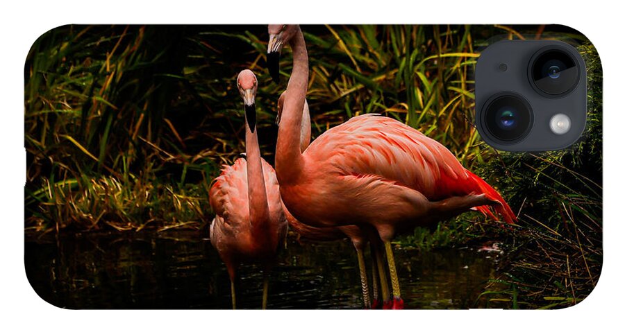 Flamingos by a Pond - Phone Case