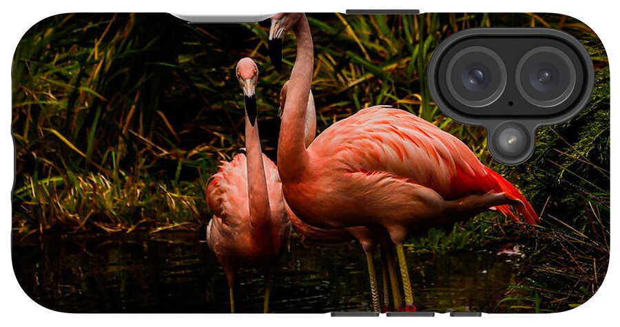 Flamingos by a Pond - Phone Case