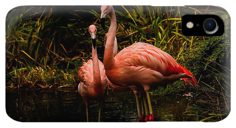 Flamingos by a Pond - Phone Case