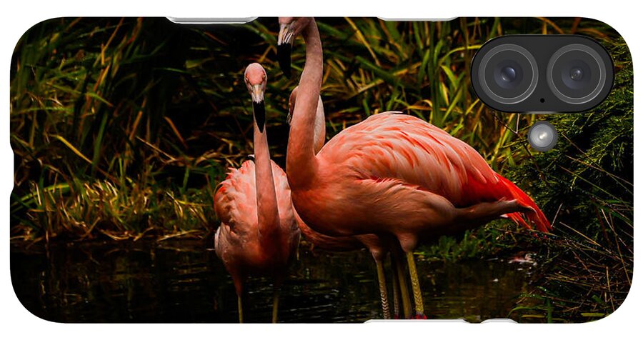 Flamingos by a Pond - Phone Case