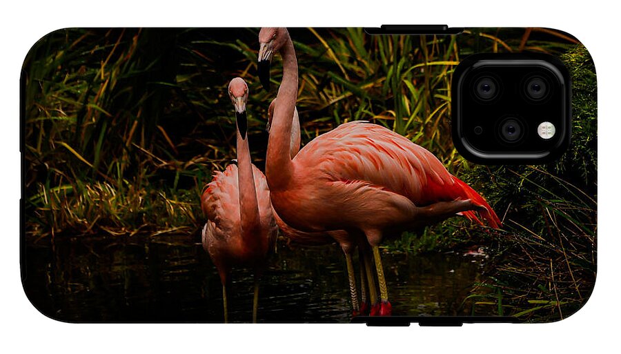 Flamingos by a Pond - Phone Case