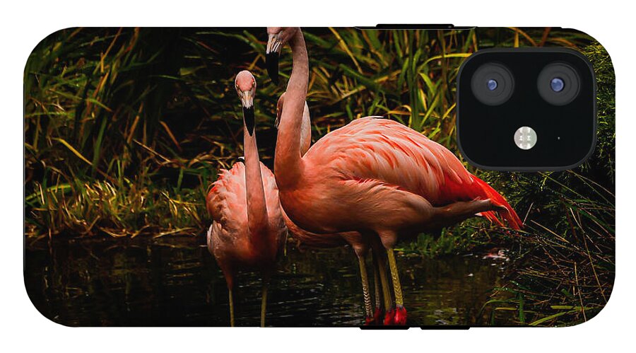 Flamingos by a Pond - Phone Case