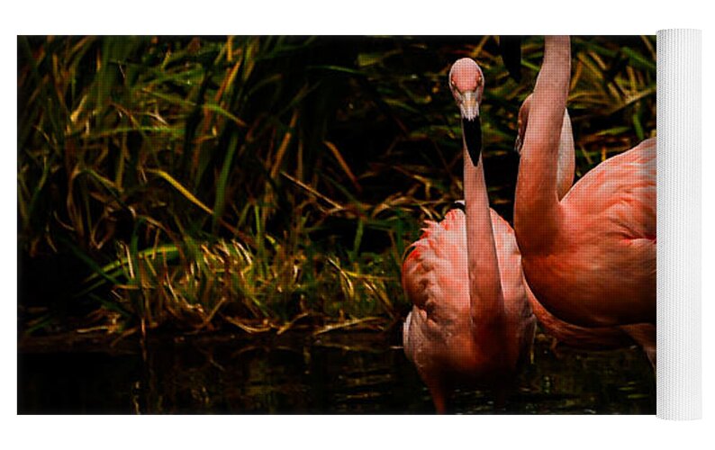 Flamingos by a Pond - Yoga Mat