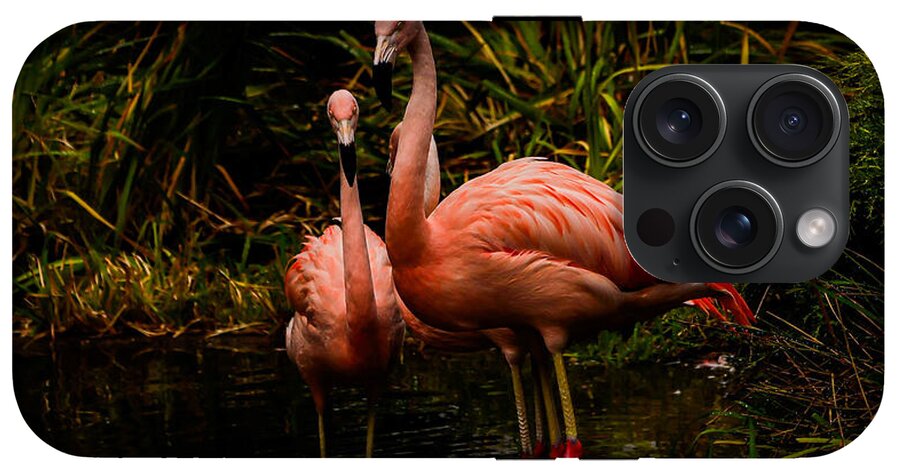 Flamingos by a Pond - Phone Case