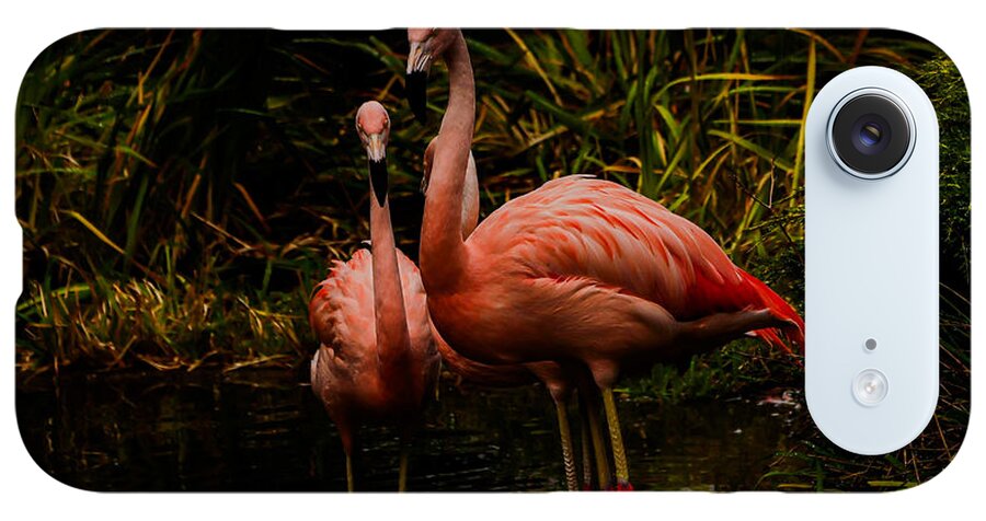 Flamingos by a Pond - Phone Case