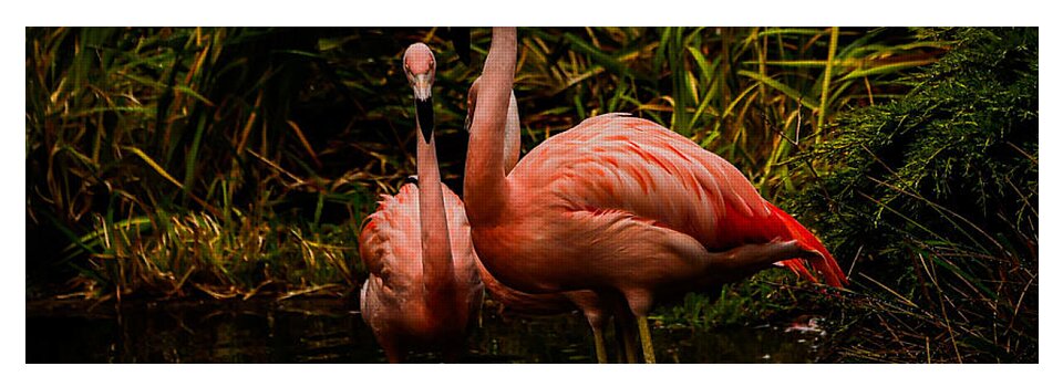 Flamingos by a Pond - Yoga Mat