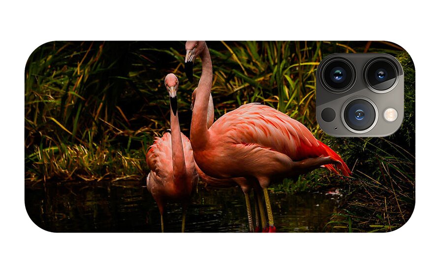 Flamingos by a Pond - Phone Case