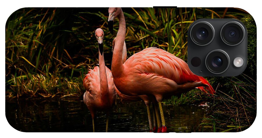 Flamingos by a Pond - Phone Case