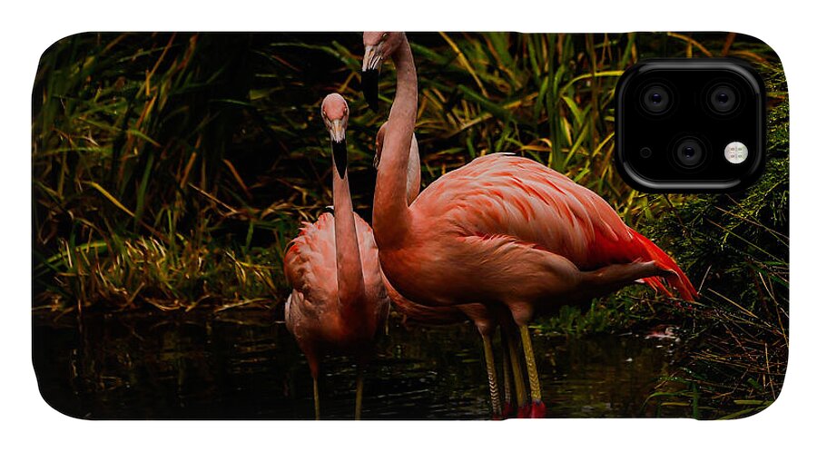Flamingos by a Pond - Phone Case