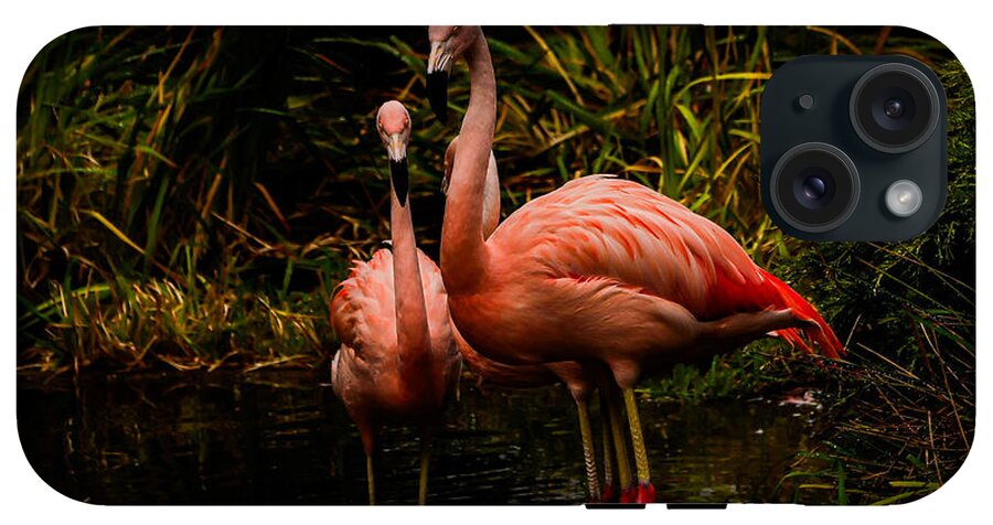 Flamingos by a Pond - Phone Case