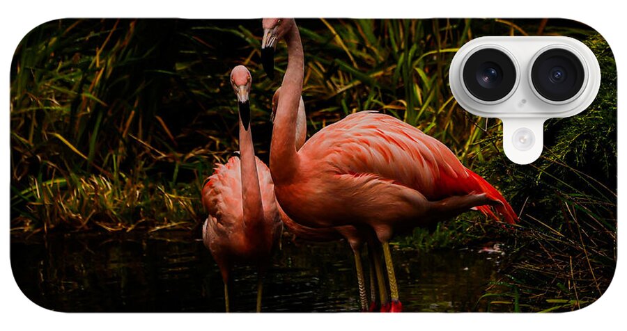 Flamingos by a Pond - Phone Case