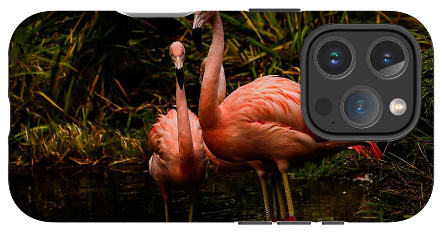 Flamingos by a Pond - Phone Case
