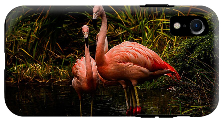 Flamingos by a Pond - Phone Case