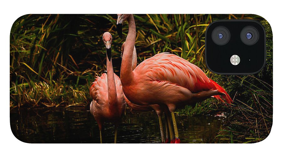 Flamingos by a Pond - Phone Case