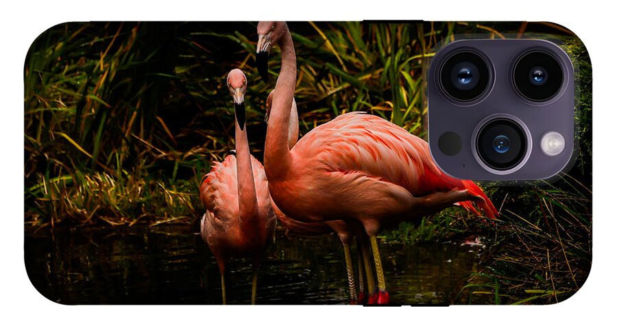 Flamingos by a Pond - Phone Case