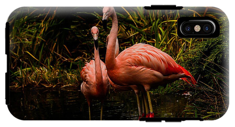 Flamingos by a Pond - Phone Case