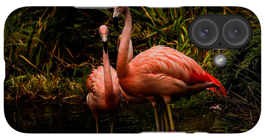 Flamingos by a Pond - Phone Case